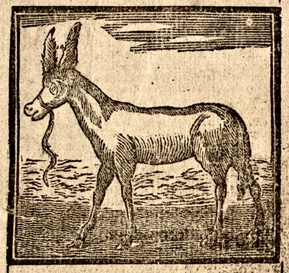 Young Royal Gift, the Fine Mule Getter