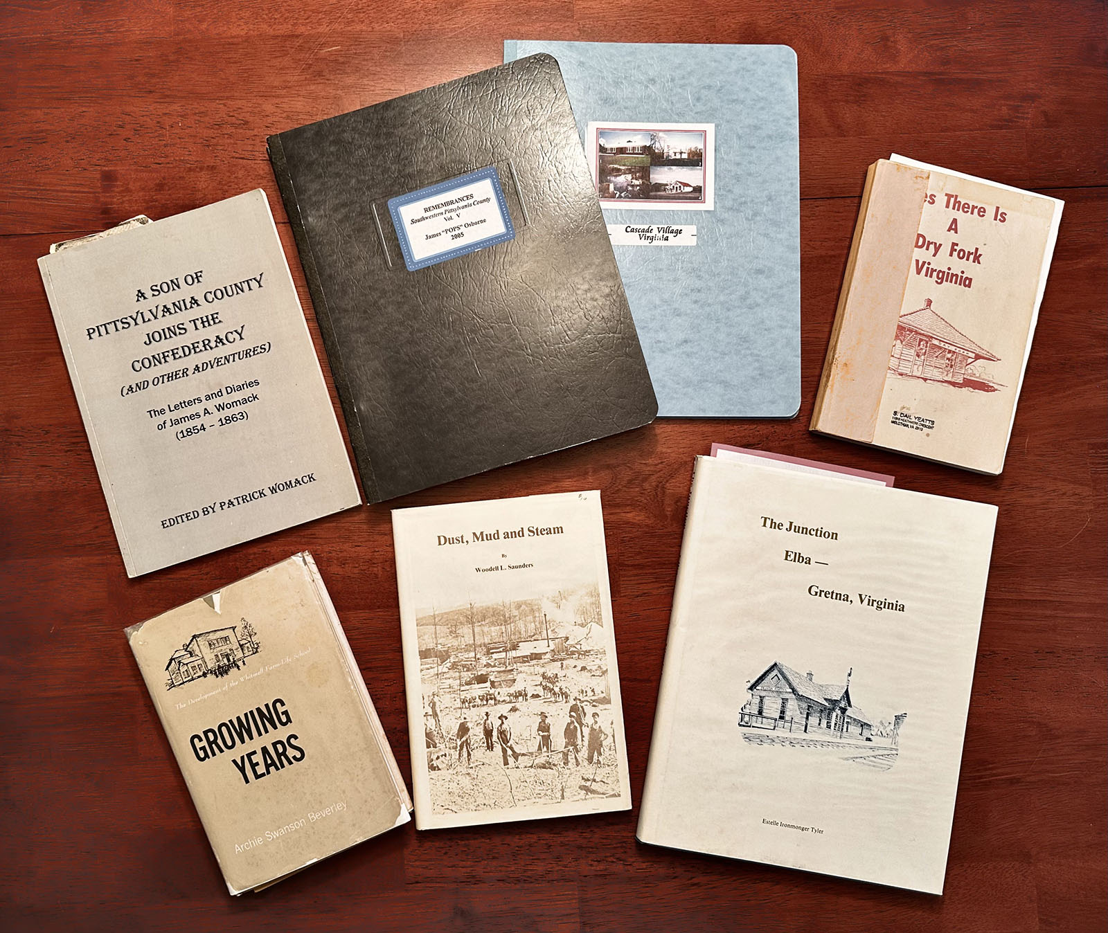 Obscure Pittsylvania County History Books