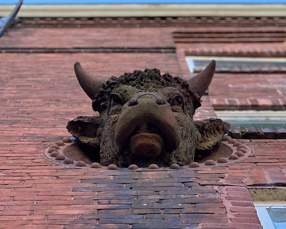 Through the Bull’s Eyes on Danville’s Floyd Street